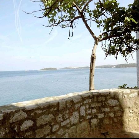 Apartment Giulio - 10Mt To The Beach Rovinj Ngoại thất bức ảnh
