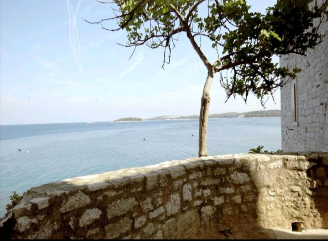 Apartment Giulio - 10Mt To The Beach Rovinj Ngoại thất bức ảnh