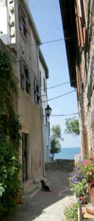 Apartment Giulio - 10Mt To The Beach Rovinj Ngoại thất bức ảnh